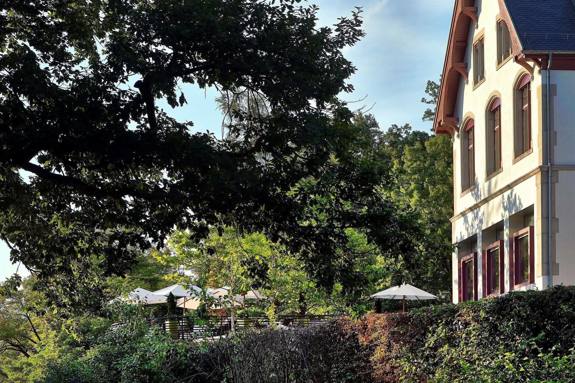 Sorell Hotel Rigiblick - Studios & Spa Suites Zurych Zewnętrze zdjęcie